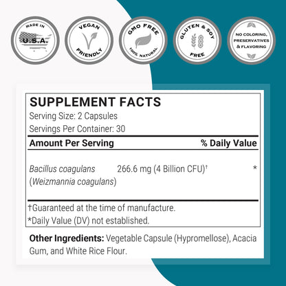 Supersmart Bacillus Coagulans Probiotic 4 Billion CFU per Day - High Absorption (Non-GMO & Gluten Free) - 60 Delayed Release Capsules