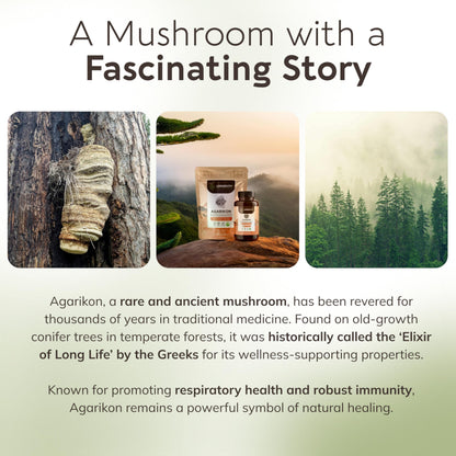 Longevity Botanicals Agarikon Mushroom Extract Capsules (120) – 10:1 Concentrate, 100% Fruiting Bodies