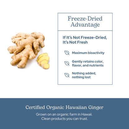 Eclectic Institute Raw Freeze-Dried Ginger - Non-GMO | Heart & Digestive Health | 90 CT
