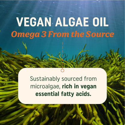 Vegan Omega-3 Algae Oil – Plant-Based DHA EPA | Sustainably Sourced | 60 Softgels