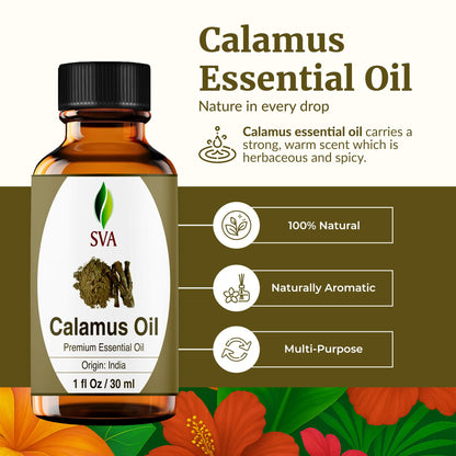 SVA Calamus Essential Oil – 1 Fl Oz | 100% Natural Calamus for Diffuser, Hair & Skin