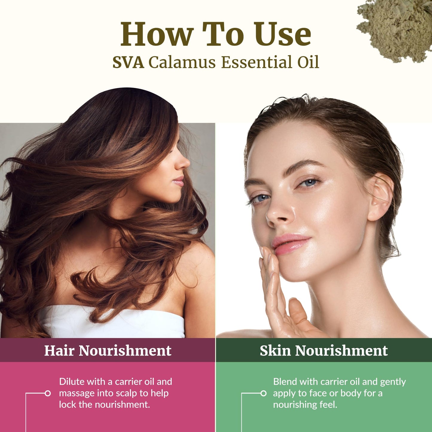 SVA Calamus Essential Oil – 1 Fl Oz | 100% Natural Calamus for Diffuser, Hair & Skin