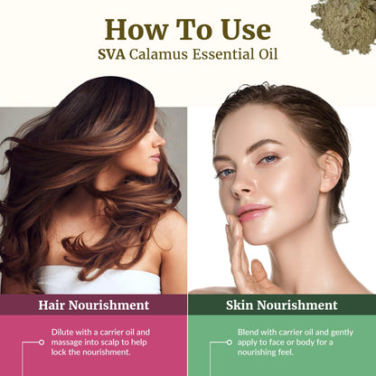 SVA Calamus Essential Oil – 1 Fl Oz | 100% Natural Calamus for Diffuser, Hair & Skin