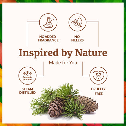 SVA Cedarwood Essential Oil 4oz – 100% Natural Cupressus Funebris