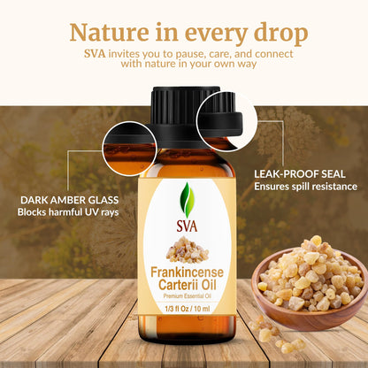SVA Frankincense Essential Oil – 1/3 Fl Oz Boswellia Carterii, 100% Natural
