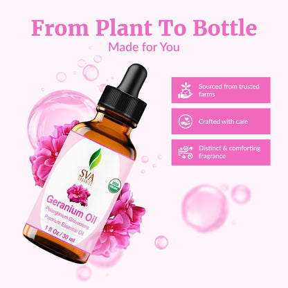 SVA Geranium Essential Oil Organic – 1 Fl Oz | 100% Natural, Diffuser, Skin & Hair Care
