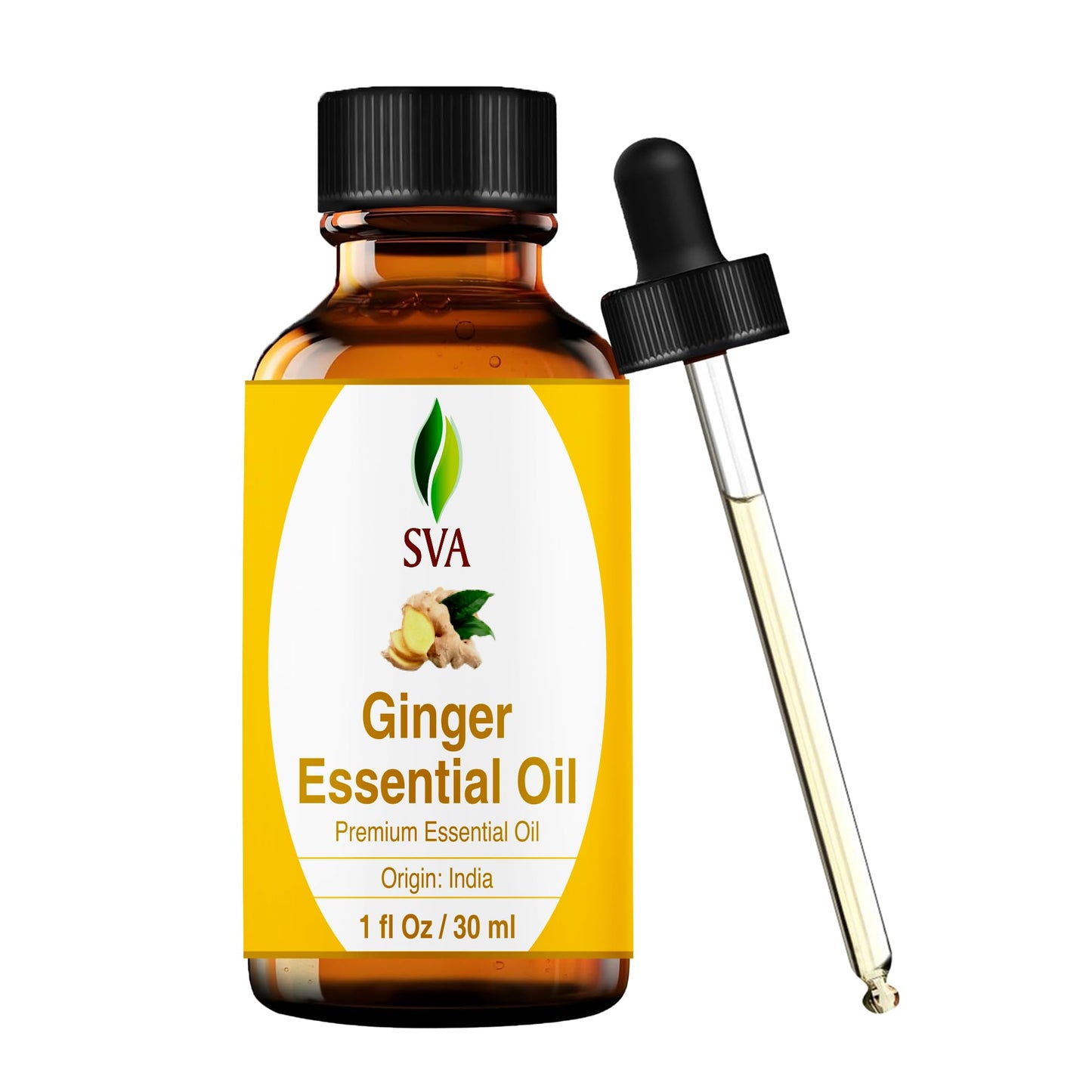 SVA Ginger Essential Oil – 1 Fl Oz | 100% Natural, Steam-Distilled Ginger Oil