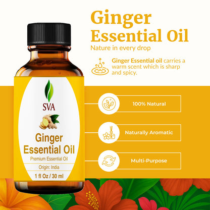 SVA Ginger Essential Oil – 1 Fl Oz | 100% Natural, Steam-Distilled Ginger Oil
