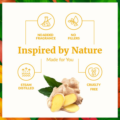 SVA Ginger Essential Oil – 1 Fl Oz | 100% Natural, Steam-Distilled Ginger Oil