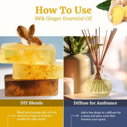 SVA Ginger Essential Oil – 1 Fl Oz | 100% Natural, Steam-Distilled Ginger Oil