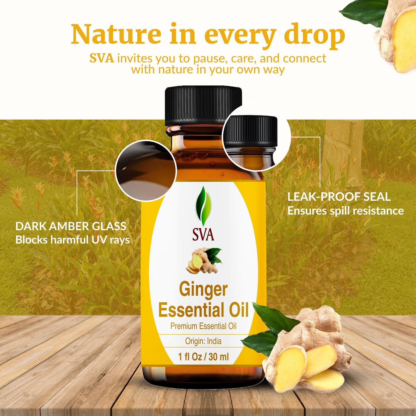 SVA Ginger Essential Oil – 1 Fl Oz | 100% Natural, Steam-Distilled Ginger Oil