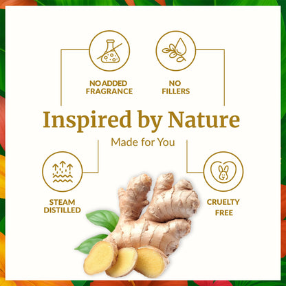 SVA Ginger Essential Oil – 4 oz | 100% Natural for Diffuser, Skin & Hair