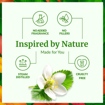 SVA Manuka Essential Oil – 1/3 Fl Oz | 100% Natural Manuka Oil