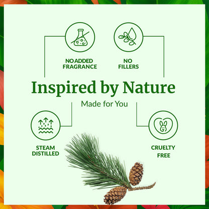 SVA Pine Needle Essential Oil – 4 Oz | 100% Natural Pine Needle Oil for Diffuser, Hair & Skin Care