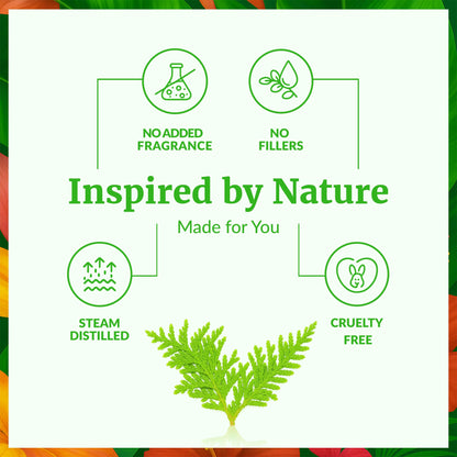 SVA Thuja Essential Oil – 1 Fl Oz (100% Natural) for Diffuser, Hair & Skin Care