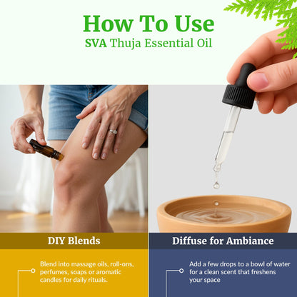 SVA Thuja Essential Oil – 1 Fl Oz (100% Natural) for Diffuser, Hair & Skin Care