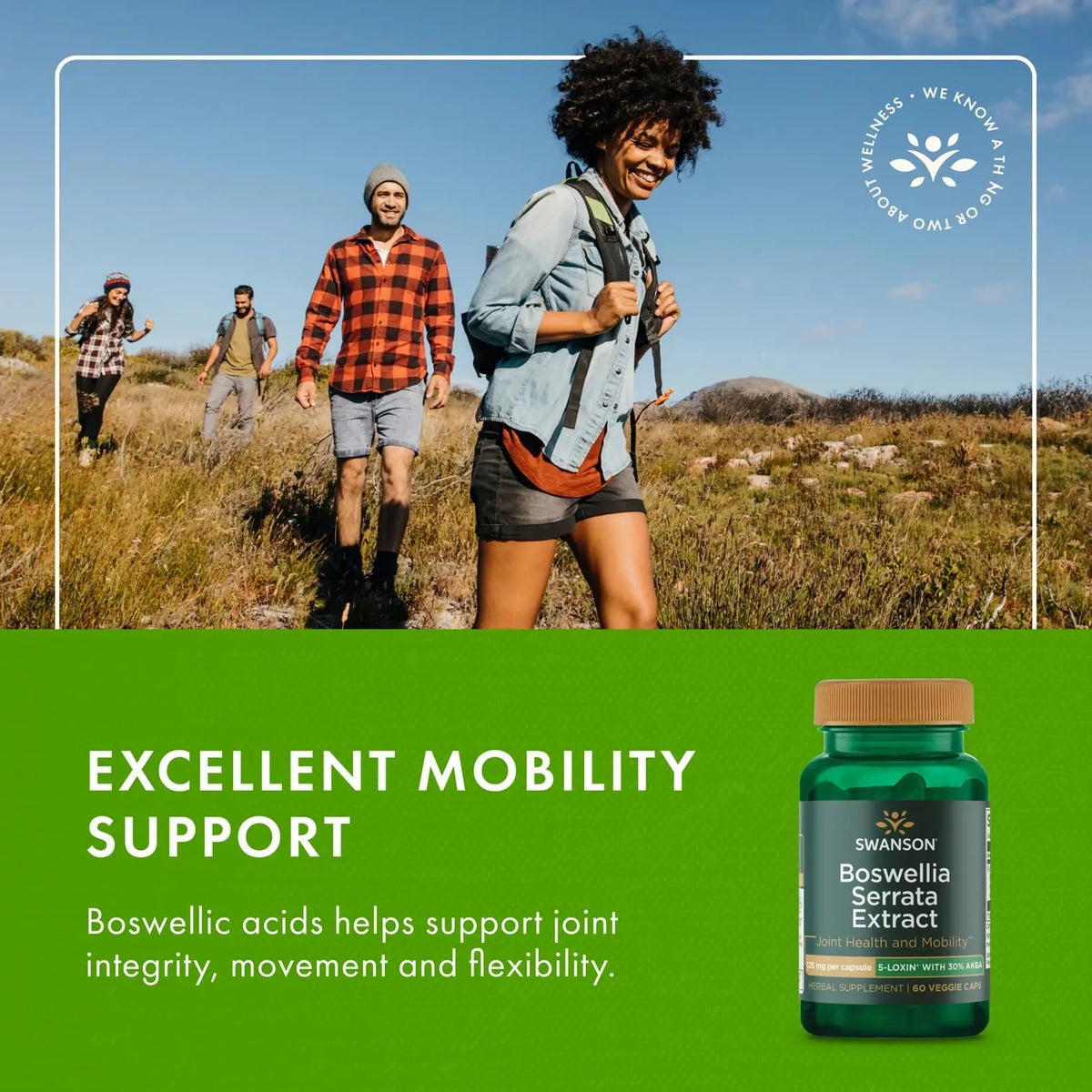 Swanson Boswellia Serrata Extract 125 mg – 60 Veg Caps (2-Pack) BritishVita | Premium UK Vitamins & Wellness Supplements