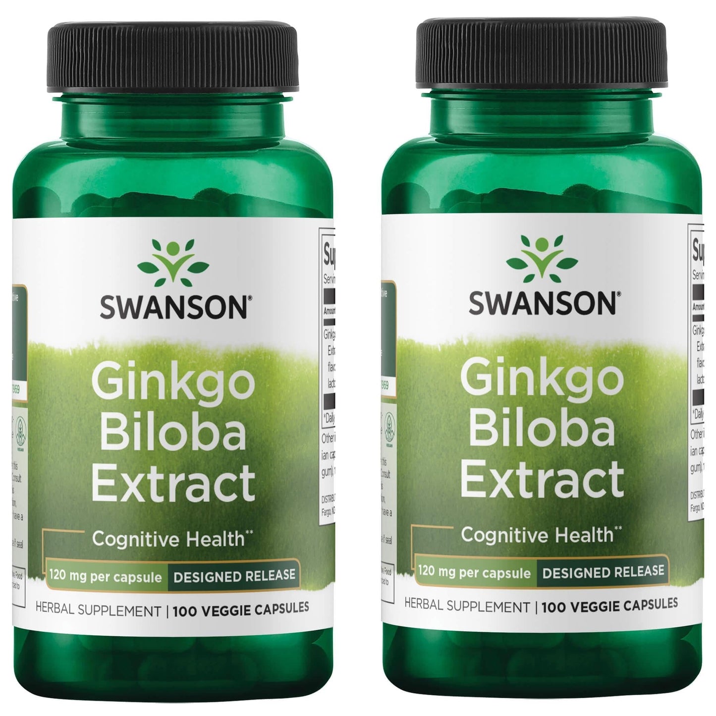 Swanson Ginkgo Biloba Extract 120 mg - Delayed-Release (24% Flavone Glycosides, 6% Terpene Lactones) - 2 Pack Veggie DRCaps
