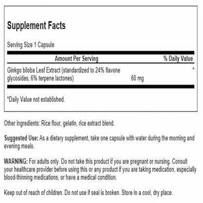 Swanson Ginkgo Biloba Extract 24% 60 mg – 240 Capsules | Cognitive Support