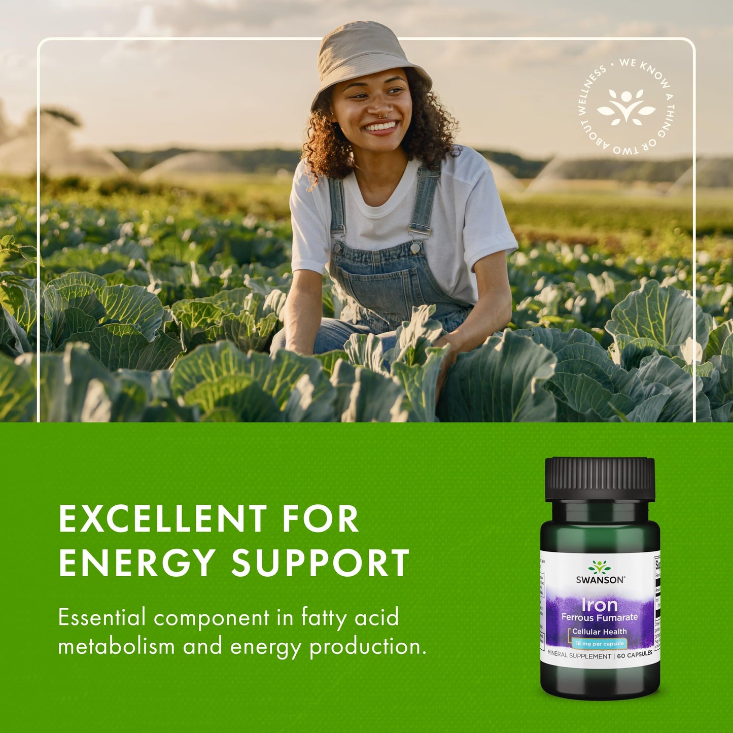 Swanson Iron (Ferrous Fumarate) – Energy Support, Oxygen Delivery & Fatty Acid Metabolism | 60 Caps, 18 mg