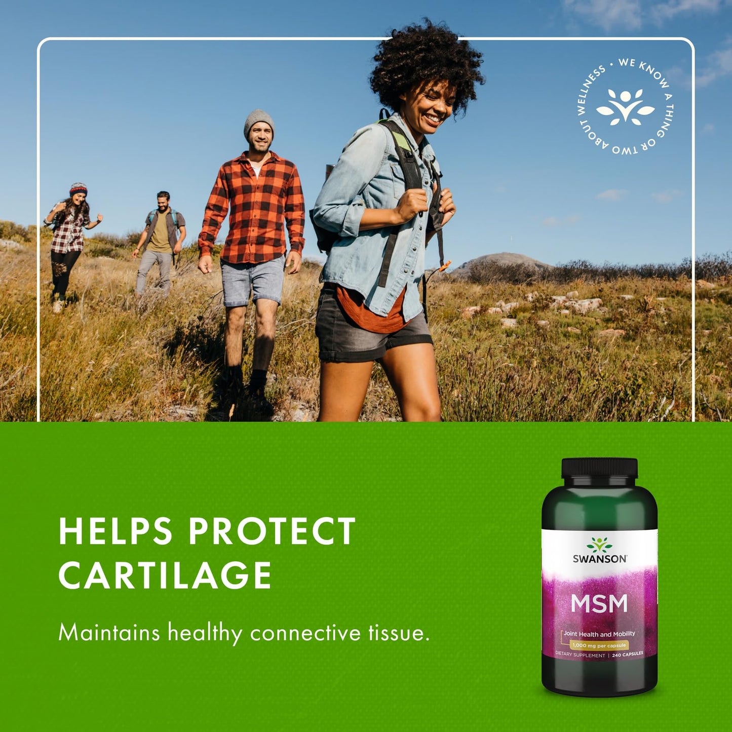 Swanson MSM 1000mg 240 Capsules - Joint Health & Mobility (2 Pack)