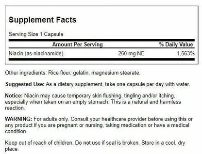 Swanson Niacinamide Vitamin B3 Supplement – 4 Pack, 250 mg Capsules (250 Count) BritishVita | Premium UK Vitamins & Wellness Supplements