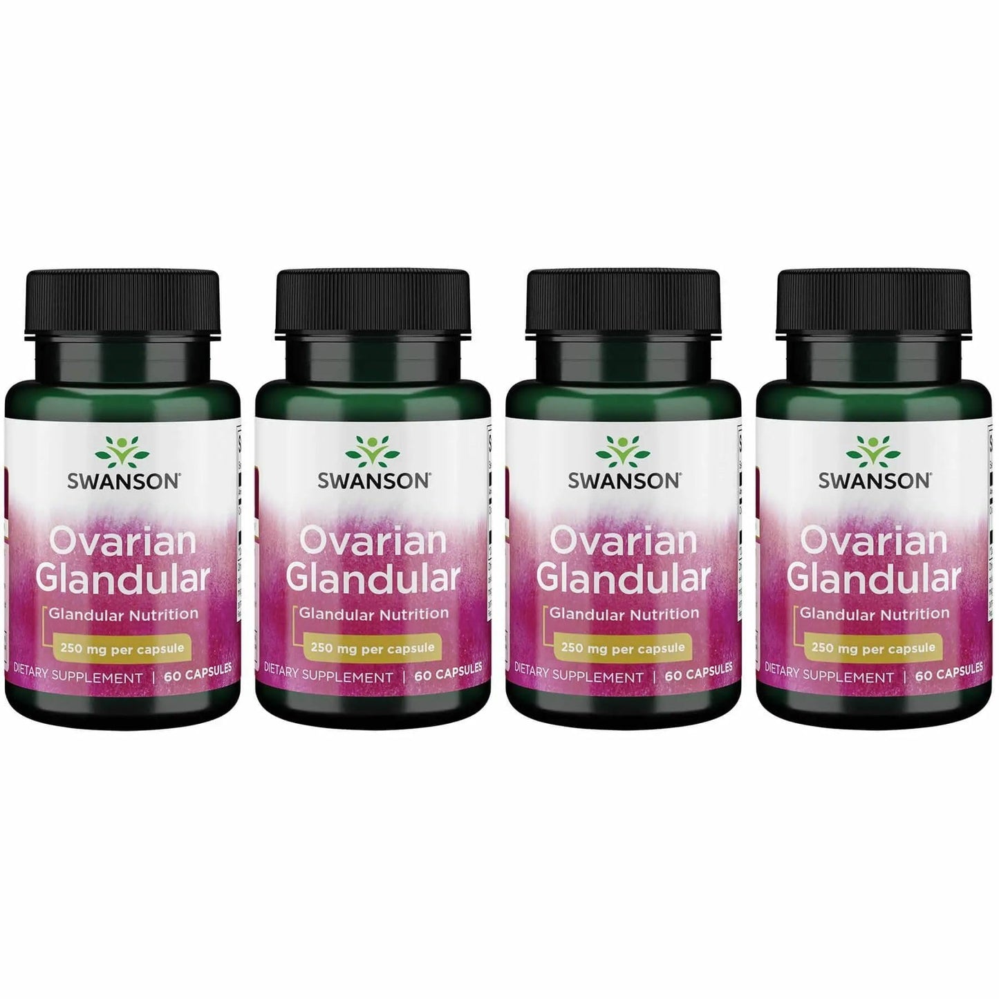 Swanson Ovarian Glandular - Natural Women's Health & Balance Support | 60 Capsules (250 mg) - 4 Pack