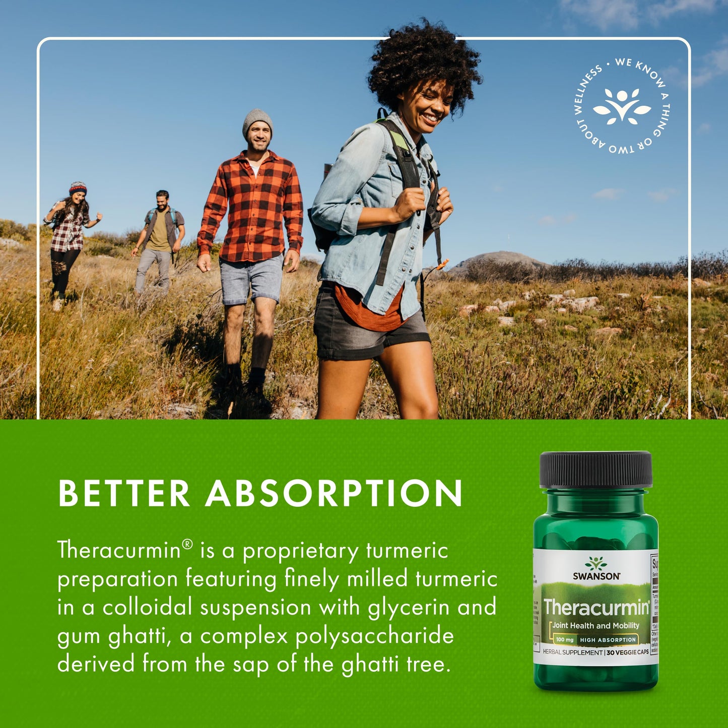 Swanson Theracurmin - Joint Health & Mobility Support (30 Capsules, 100 mg Each)