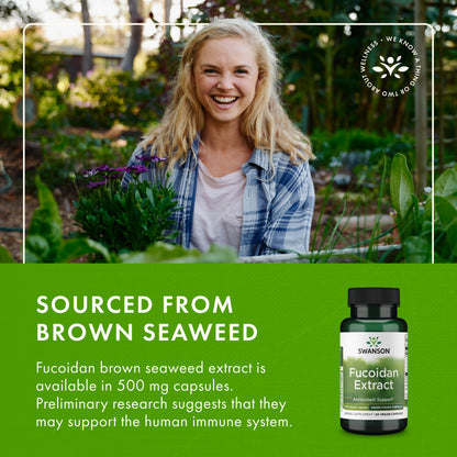 Swanson Fucoidan Extract – Immune Support, 60 Veggie Capsules, 500mg