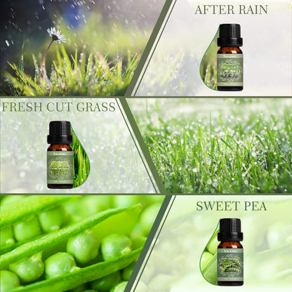 SALKING Spring Fragrance Oils Set | Premium Essential Oils Gift for Diffuser, Soap & Candle Making