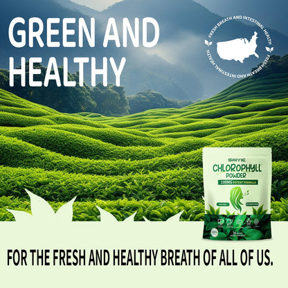 Swiyie Chlorophyll Powder – 100mg for Drinking (10g x 30 Packets) – Detox & Gut Support