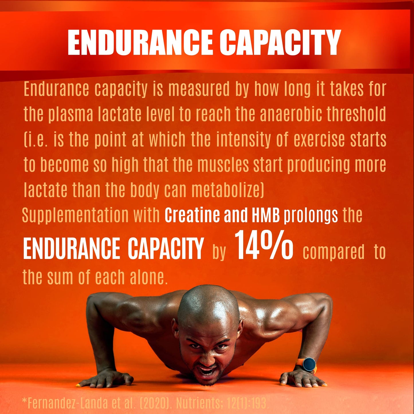 Creatine HCl Capsules with HMB – Muscle, Endurance & Strength | 180 Vegan Capsules