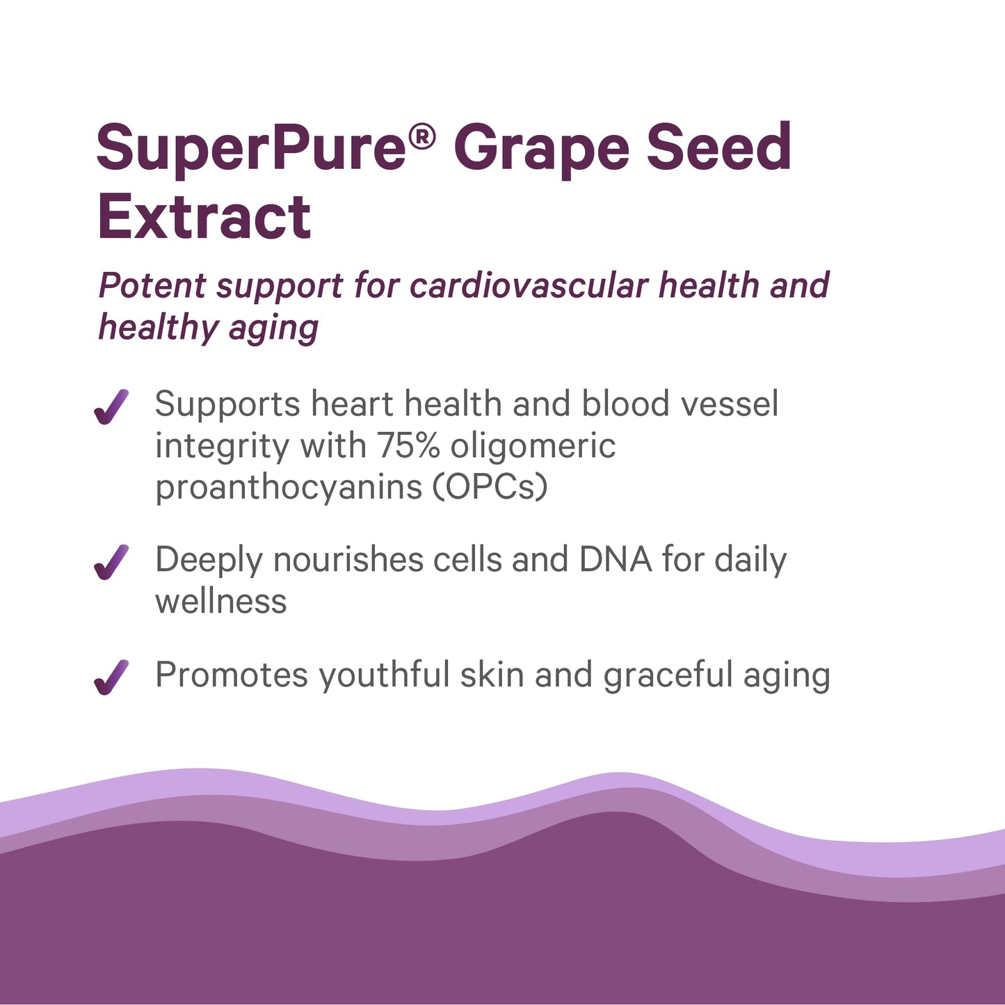 Pure Synergy SuperPure Grape Seed Extract | Organic Grape Seed Polyphenols – Heart Health, Skin & Healthy Aging (60 Capsules)