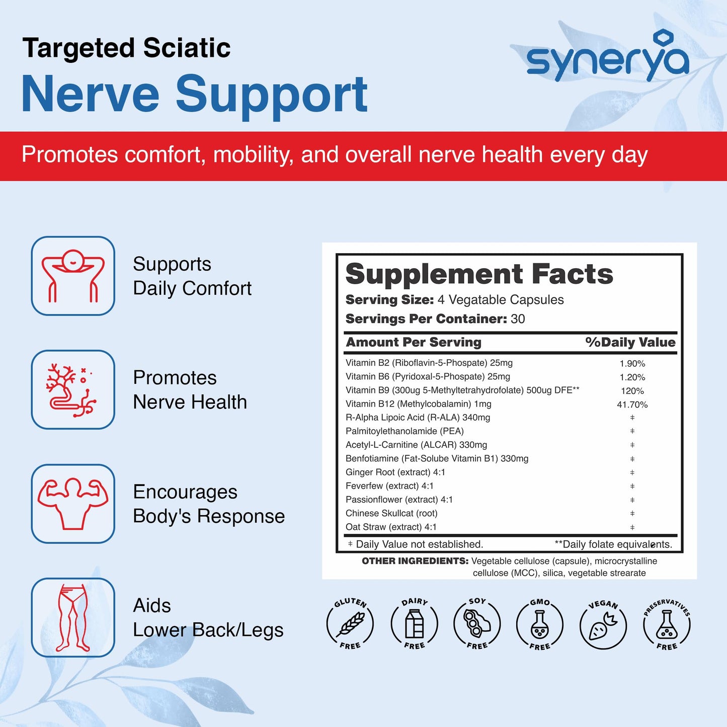 SYNERYA Advanced Sciatic Nerve Support – Alpha Lipoic Acid & Vitamin B Complex, 120 Capsules
