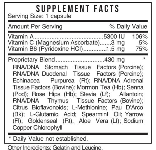 Systemic Formulas 6- Restore | Digestive Health & Tissue Repair