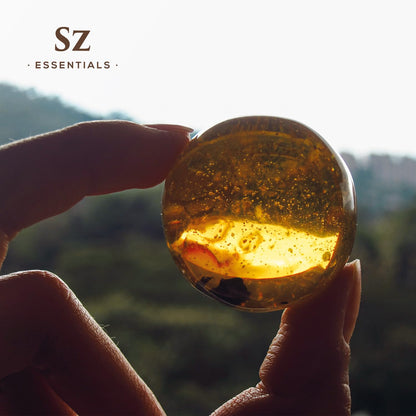 SZ Essentials Amber Essential Oil - 0.17oz (5ml) Pure & Undiluted