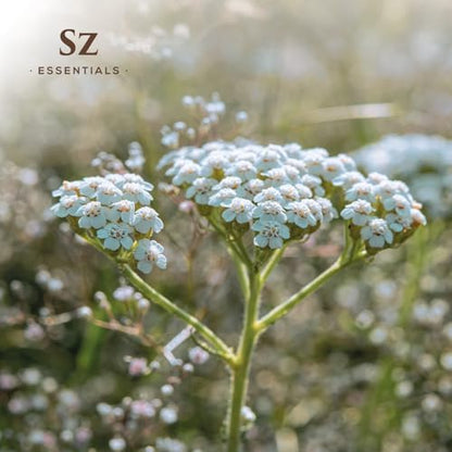 Sz Essentials Blue Yarrow Essential Oil – 100% Pure, Calming & Grounding – 0.22 fl oz (6.5 mL)