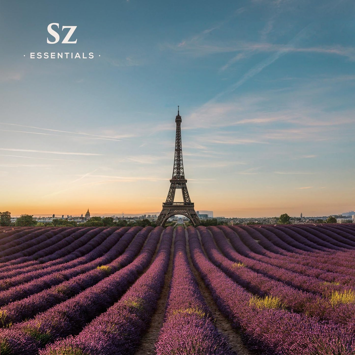 Grasse Lavender Essential Oil – Lavandula stoechas, 0.22 oz | Sz Essentials