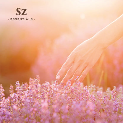 Grasse Lavender Essential Oil – Lavandula stoechas, 0.22 oz | Sz Essentials
