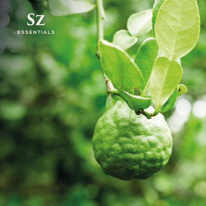 Sz Essentials Kaffir Lime Leaf Essential Oil – 100% Pure & Undiluted, Therapeutic Grade, Vegan (5ml)