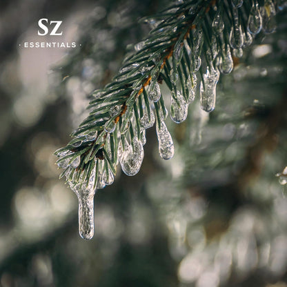 Sz Essentials Silver Pine Essential Oil - 100% Pure Pinus Sylvestris (5ml) | Therapeutic Grade & Vegan