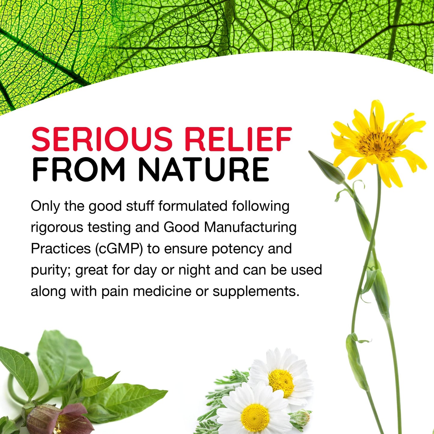 T-Relief Arnica +12 Cream – Natural Back Pain & Soreness Relief (2 oz)