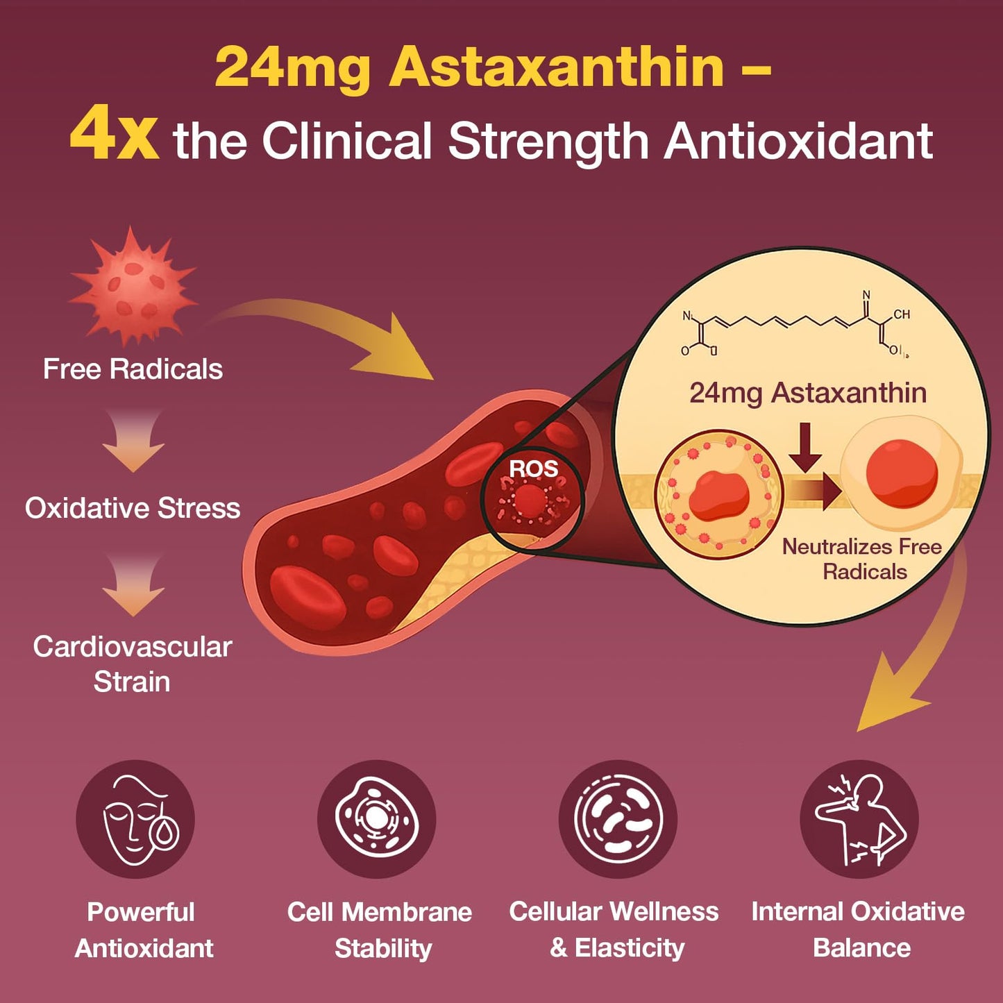 Talyvoriathor Liposomal Red Yeast Rice 1200mg – CoQ10 & Astaxanthin | Extra Strength Cholesterol & Cardiovascular Support
