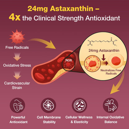 Talyvoriathor Liposomal Red Yeast Rice 1200mg – CoQ10 & Astaxanthin | Extra Strength Cholesterol & Cardiovascular Support