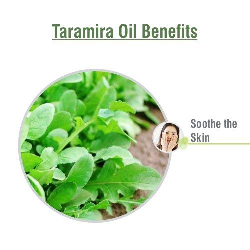 Taramira (Eruca sativa) Essential Oil – 100% Pure & Natural, 15ml with Dropper | Therapeutic Grade