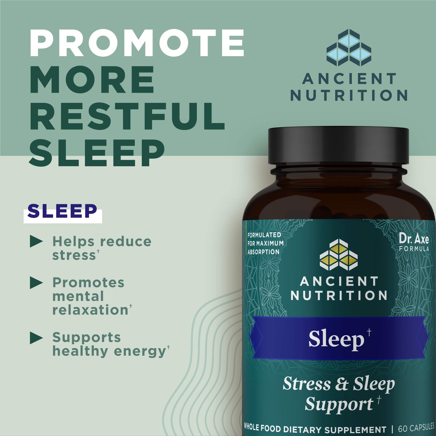 Ancient Nutrition Ashwagandha Sleep Support – Stress & Sleep, 60 Capsules | Gluten Free, Keto & Paleo
