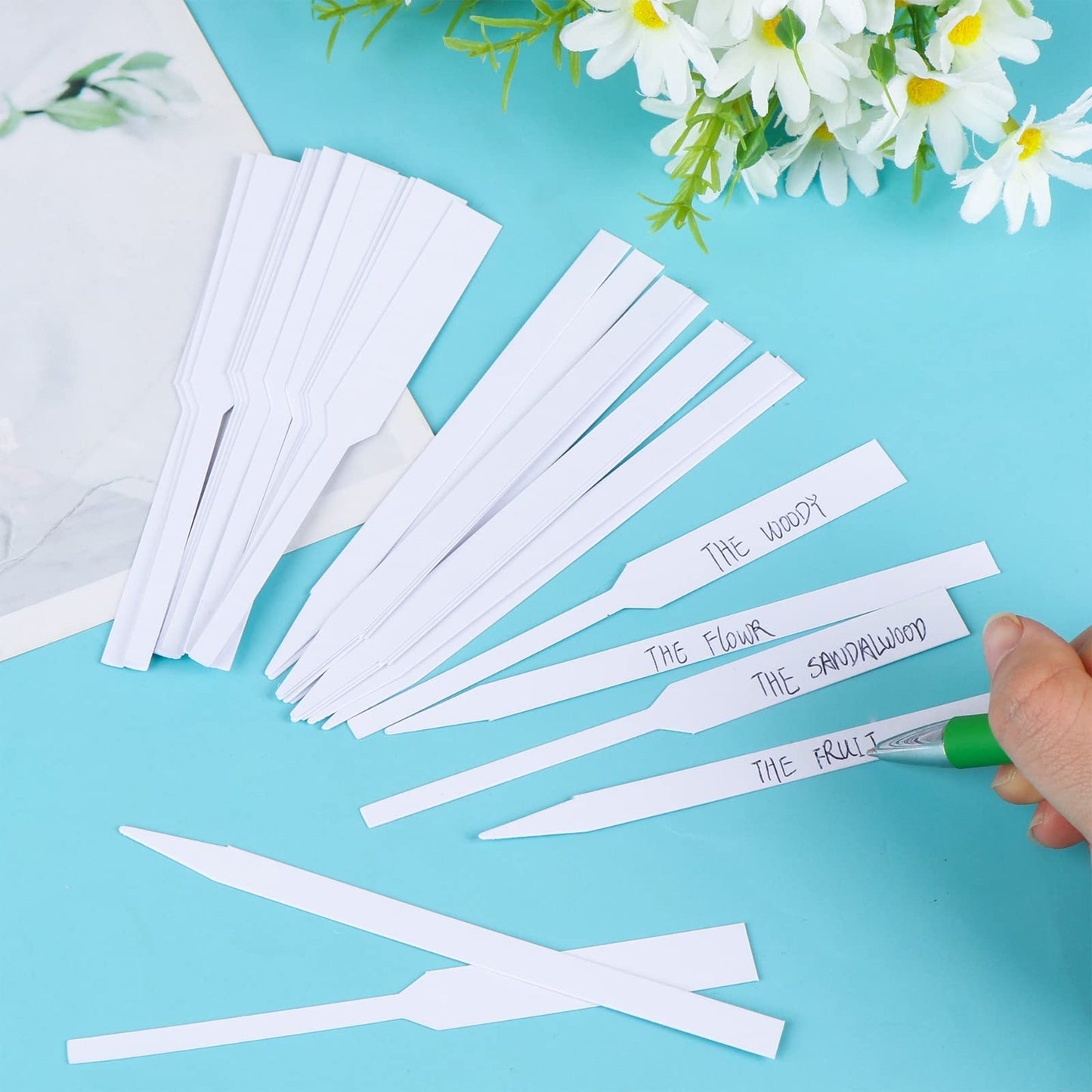 TBoxBo 800 Perfume Test Strips – DFSTFEWR5T457, Premium Fragrance Paper (5x0.6 in)