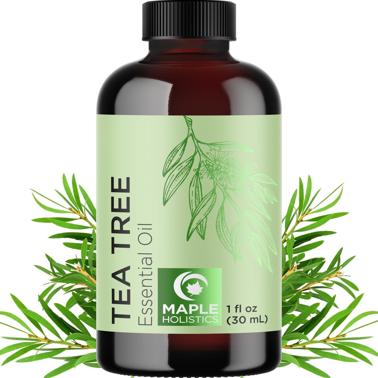 Pure Tea Tree Oil for Hair, Skin & Nails – 100% Pure, Undiluted (1 Fl Oz)