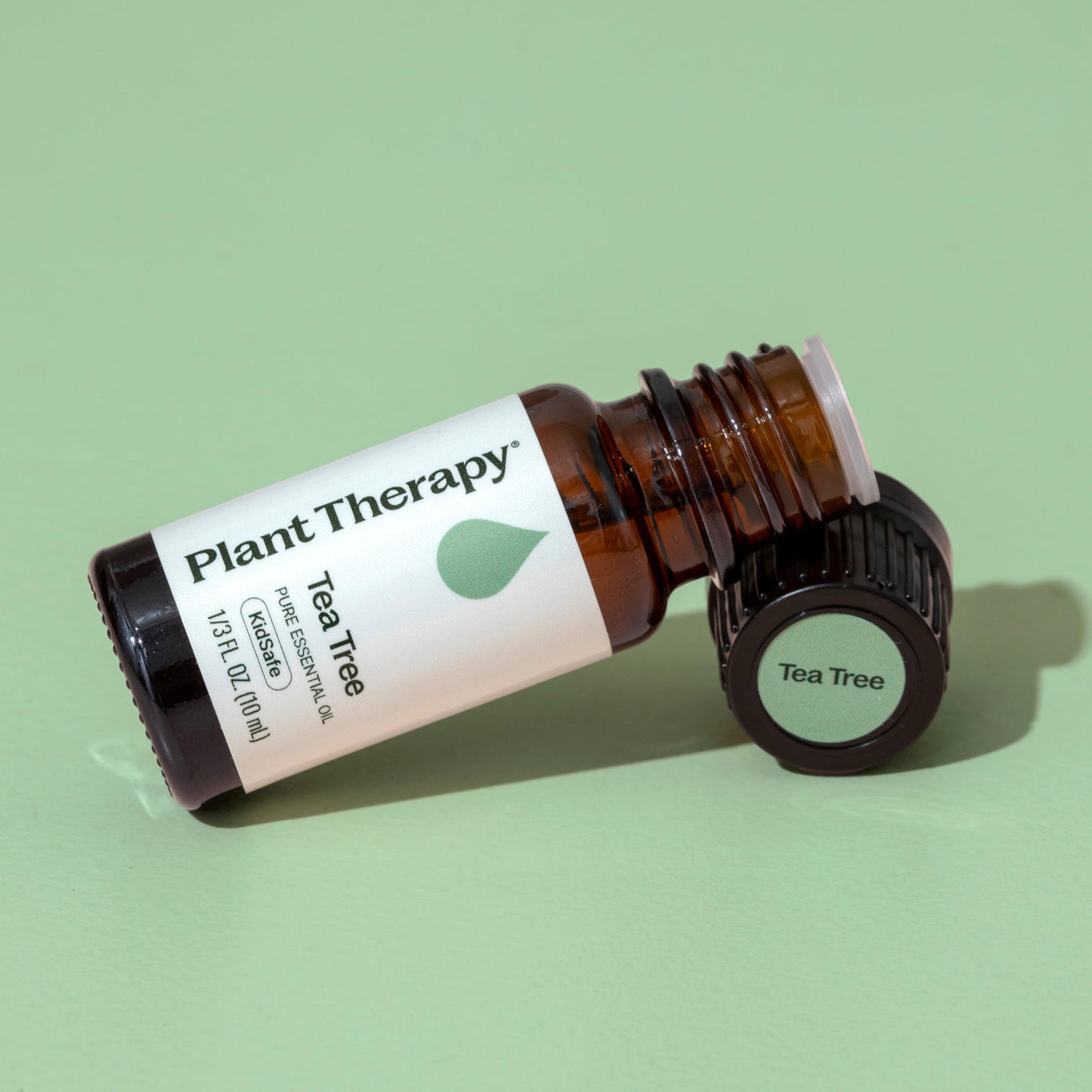 Tea Tree Essential Oil - 100% Pure & Undiluted (10 mL) | Plant Therapy