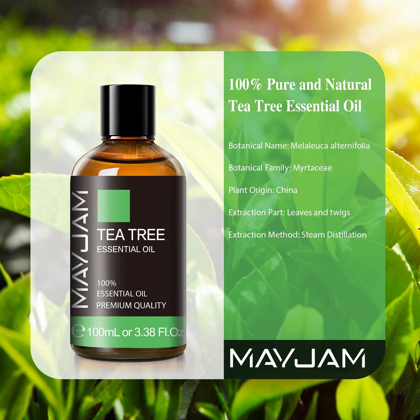 Tea Tree Essential Oil for Diffuser | MAYJAM Pure Essential Oils, 3.38 fl oz Bottle with Glass Dropper